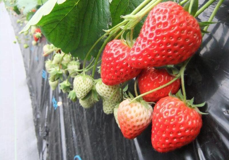 호텔 Shimoda Yamatokan