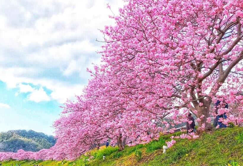 호텔 Shimoda Yamatokan