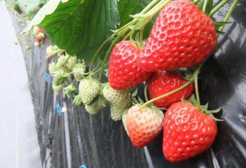 호텔 Shimoda Yamatokan