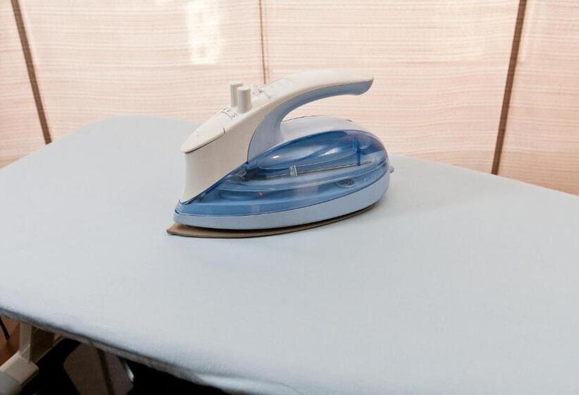 酒店 Sotetsu Fresa Inn Tokyoakasaka