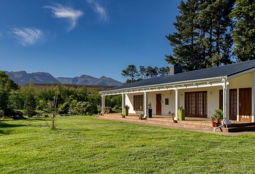 فندق The Residence Boutique