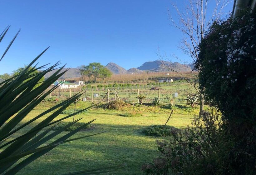 فندق The Residence Boutique