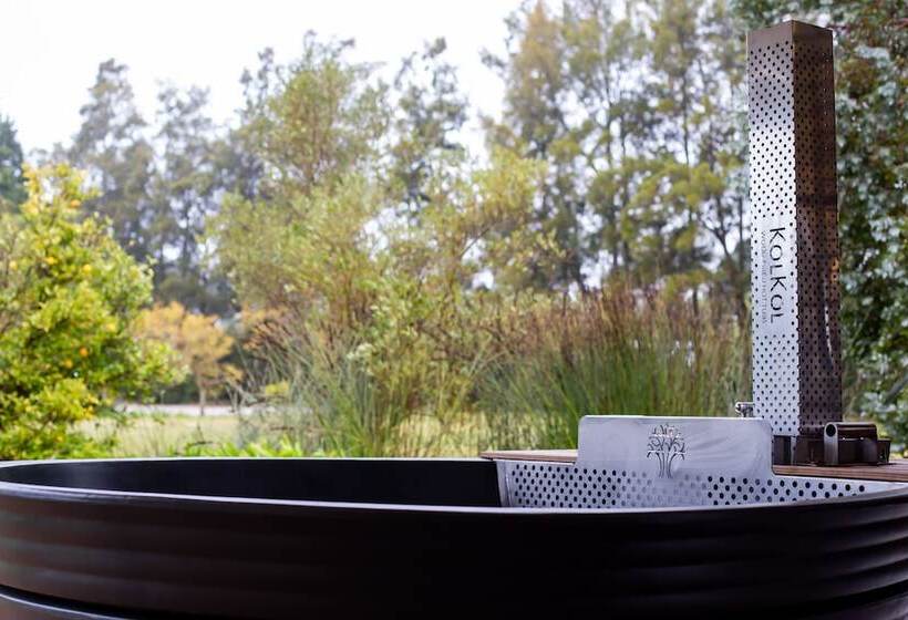 فندق The Residence Boutique