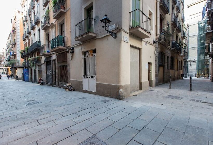 Ainb Born Dames Apartments