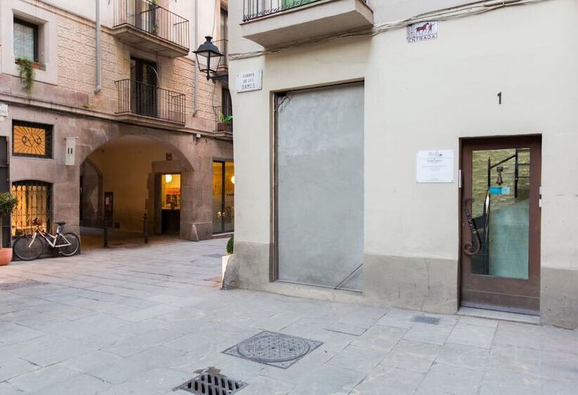 Ainb Born Dames Apartments