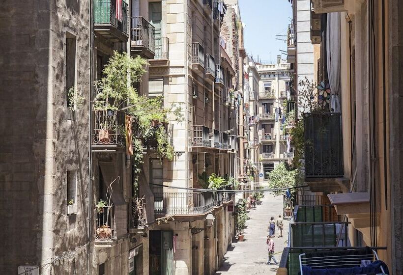 Ainb Born Dames Apartments