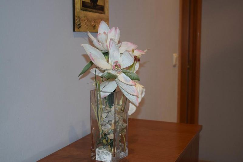 Apartamentos Vida Versus