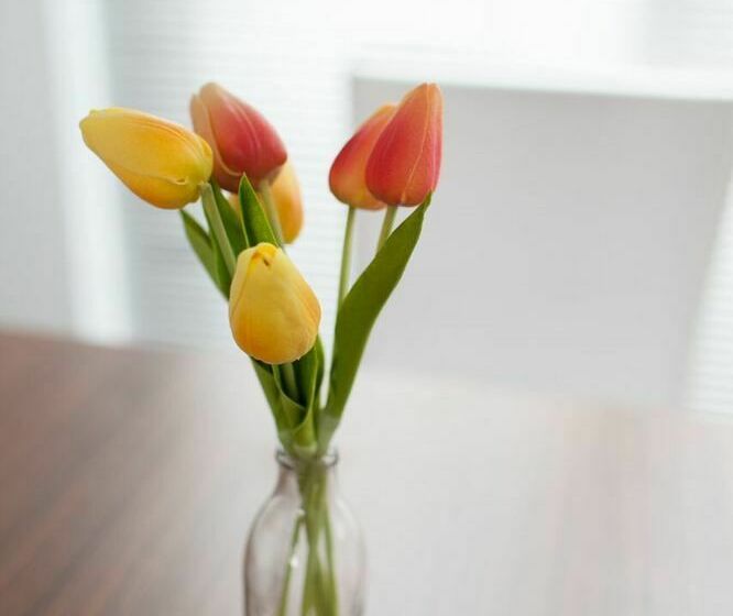 Easystay Apartments Raglan Street