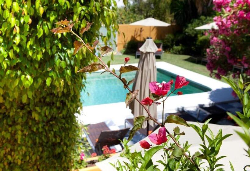 Family Hotel Al  Ana Marbella