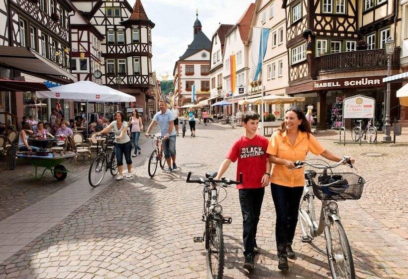 Achat Hotel Lohr Am Main