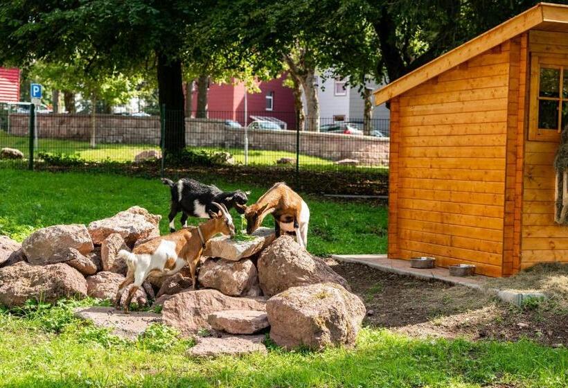 Ahorn Panorama Hotel Oberhof