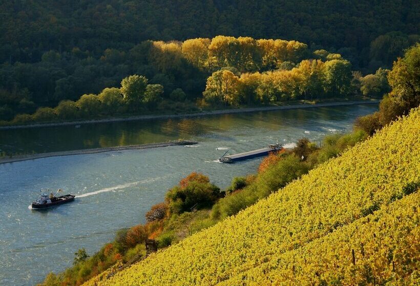 Отель Altdeutsche Weinstube  Superior