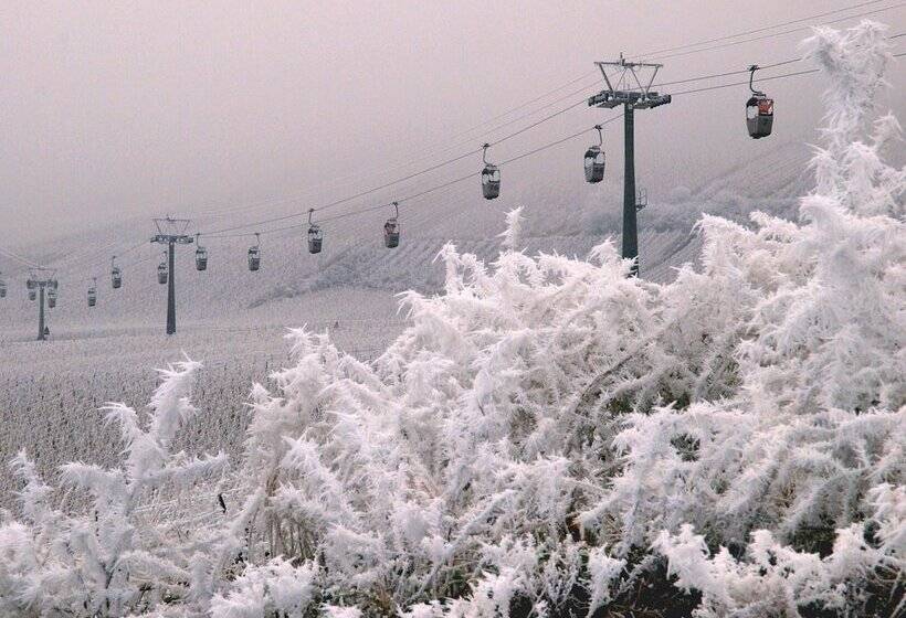 Отель Altdeutsche Weinstube  Superior