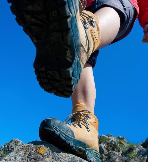 בית מלון כפרי Argyll