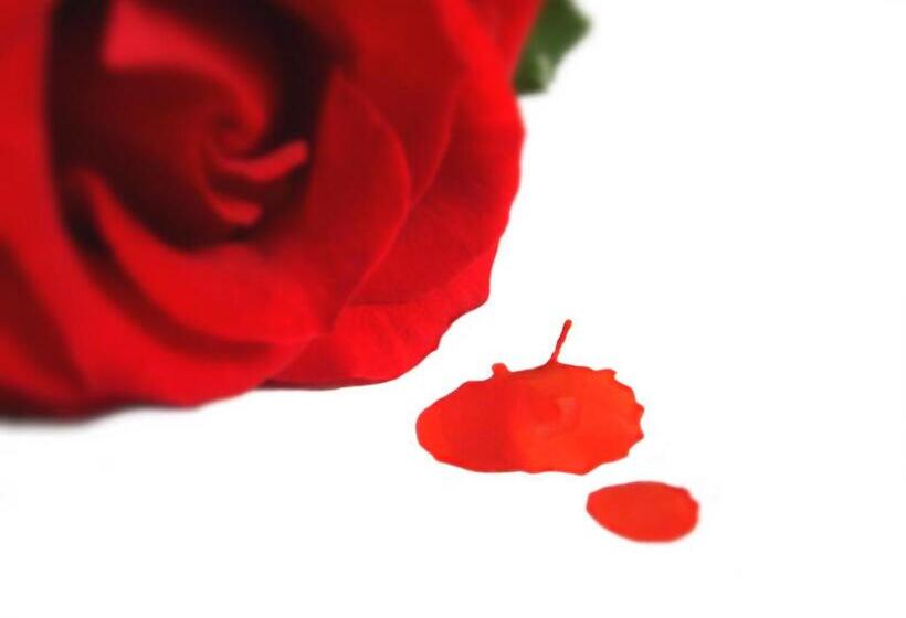 בית מלון כפרי Argyll