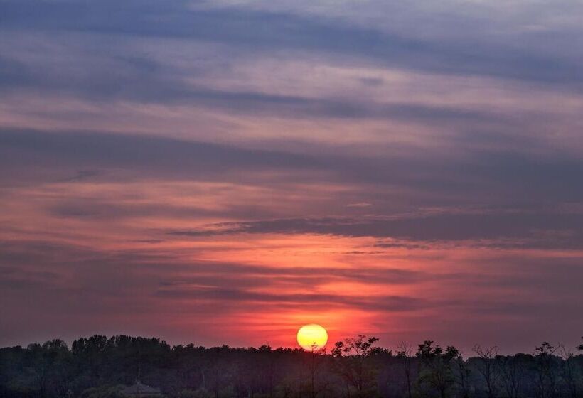 בית מלון כפרי Ayri
