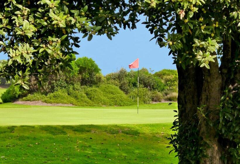 فندق Best Western City Sands