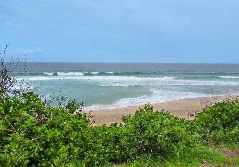 فندق Best Western City Sands