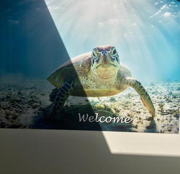 هتل Byron Lakeside Holiday Apartments