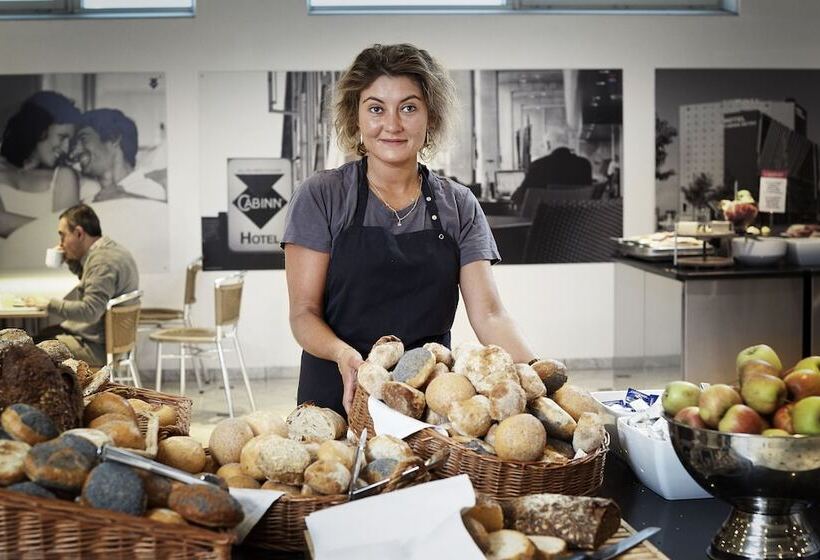 בית מלון כפרי Cabinn City