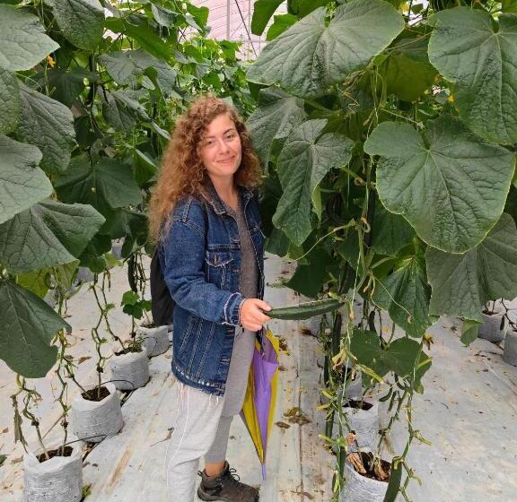 בית מלון כפרי Cameron Highlands Resort