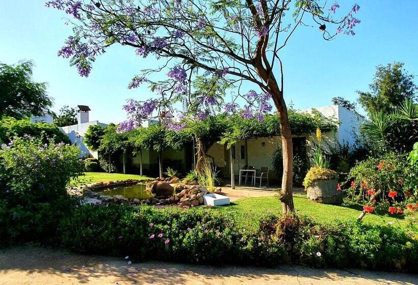 Отель Casa Do Alto