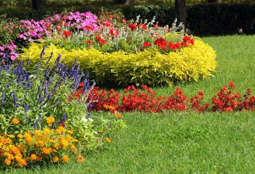 בית מלון כפרי Casa Romagnosi