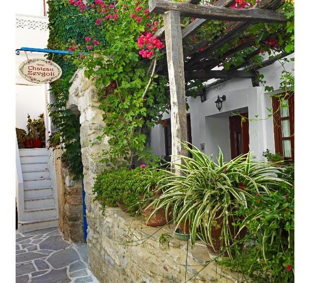 فندق Chateau Zevgoli