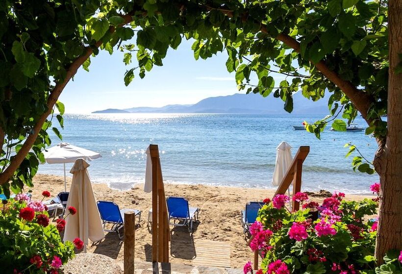 فندق Faedra Beach