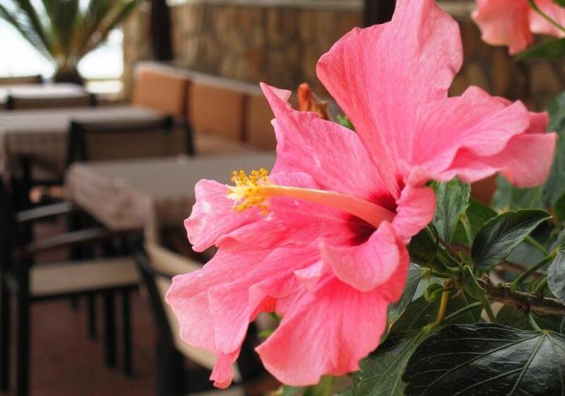 فندق Faedra Beach