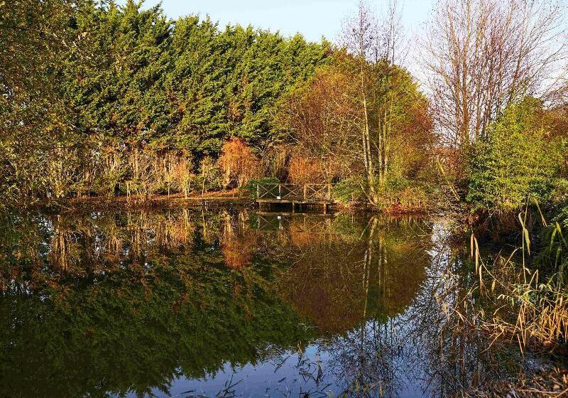 فندق Mercure Newbury West Grange