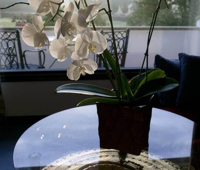 فندق Nuevo San Román De Escalante