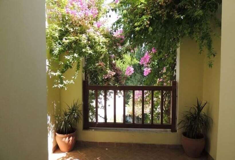 Отель Okaliptus