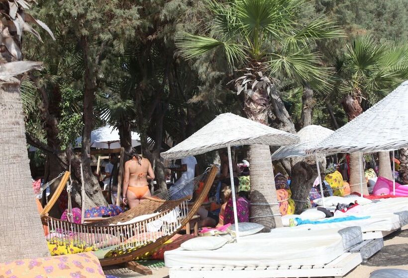 Отель Okaliptus