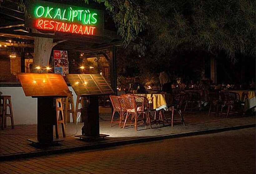 Отель Okaliptus