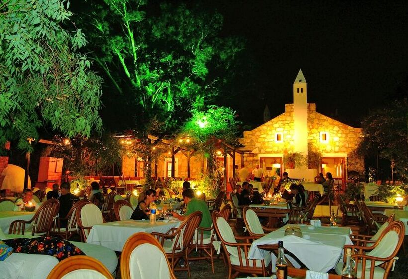 Отель Okaliptus