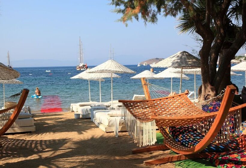 Отель Okaliptus