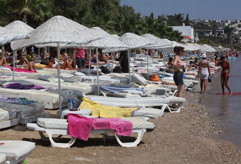 Отель Okaliptus