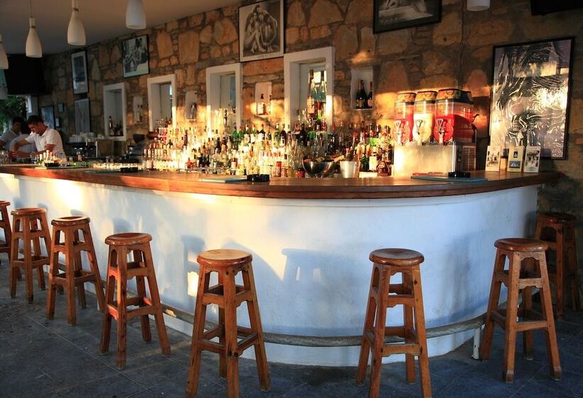 Отель Okaliptus