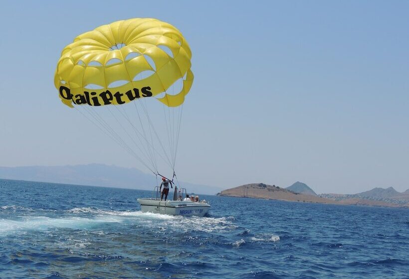 Отель Okaliptus