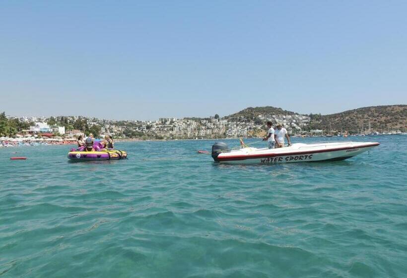 Отель Okaliptus