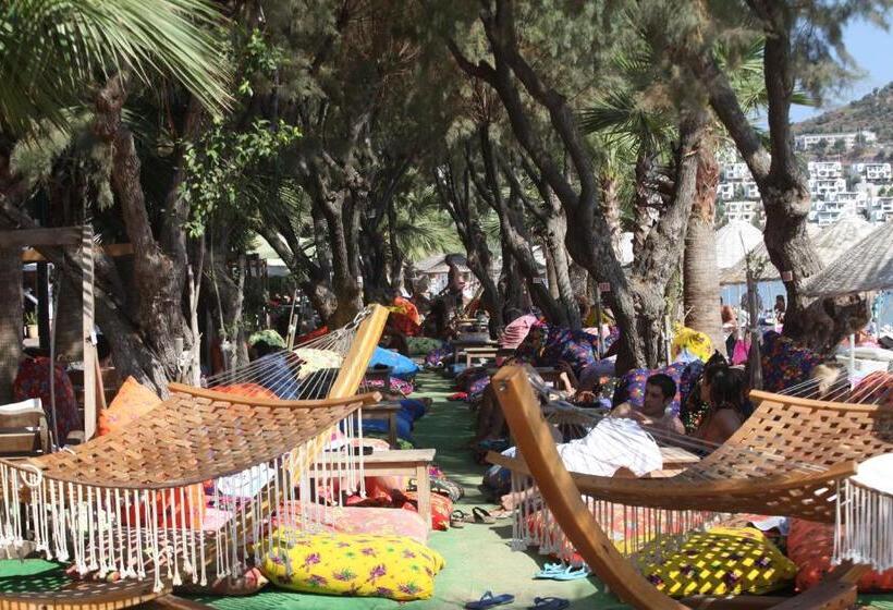 Отель Okaliptus