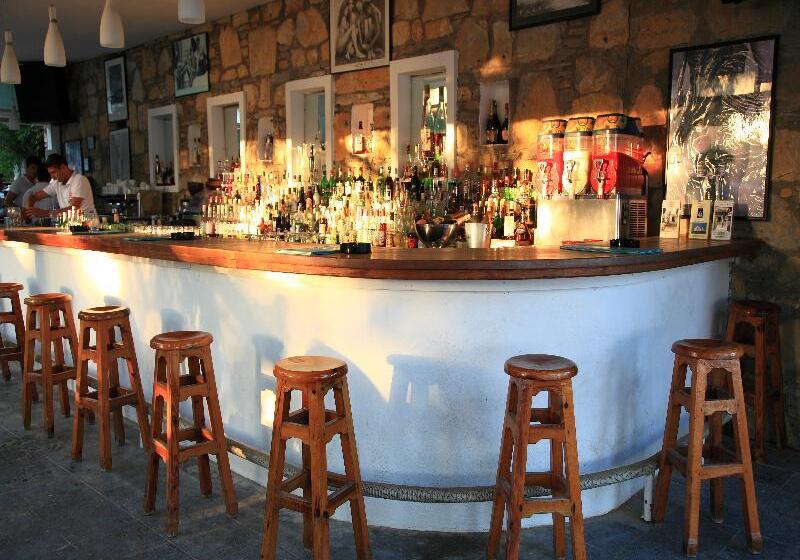 Отель Okaliptus