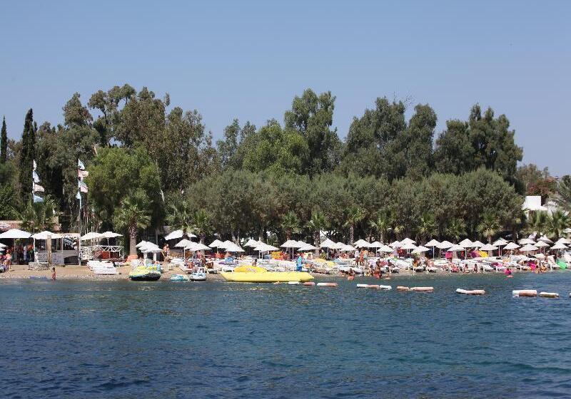 Отель Okaliptus