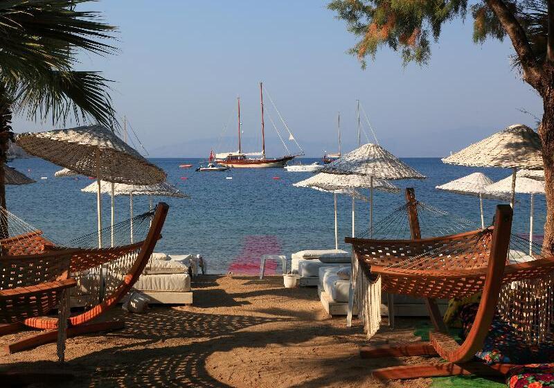 Отель Okaliptus