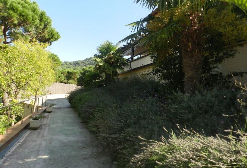 Отель Porta D'Alella