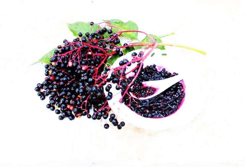 בית מלון כפרי Princess Lanassa