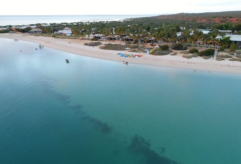 هتل Rac Monkey Mia Dolphin Resort