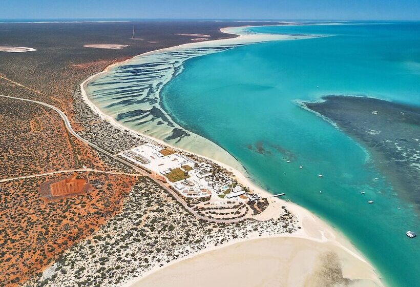 هتل Rac Monkey Mia Dolphin Resort