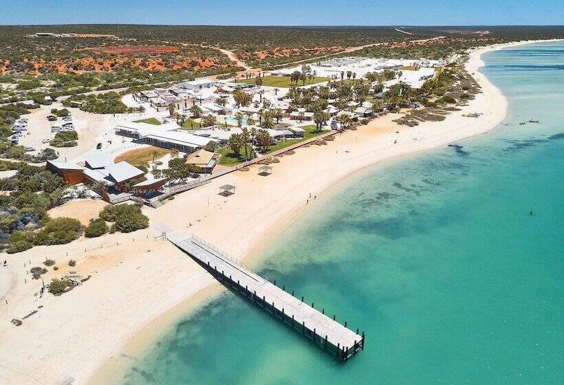 هتل Rac Monkey Mia Dolphin Resort